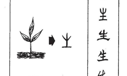 生姜泡酒10大忌-生姜末浸泡酒的功效网—知名的生姜泡酒10大忌网站,分享生姜泡酒10大忌知识