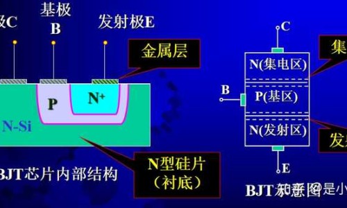 生姜末浸泡酒的功效网—知名的生姜泡酒10大忌网站,分享生姜泡酒10大忌知识